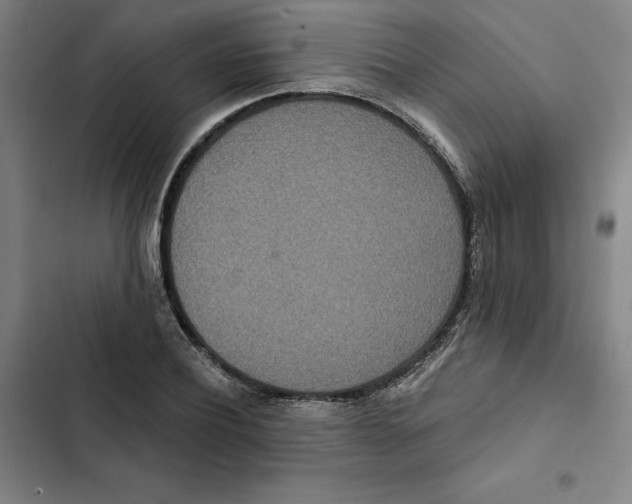 X0000102350932200808291157
