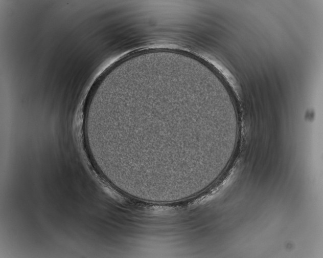 X0000102350933200808291157