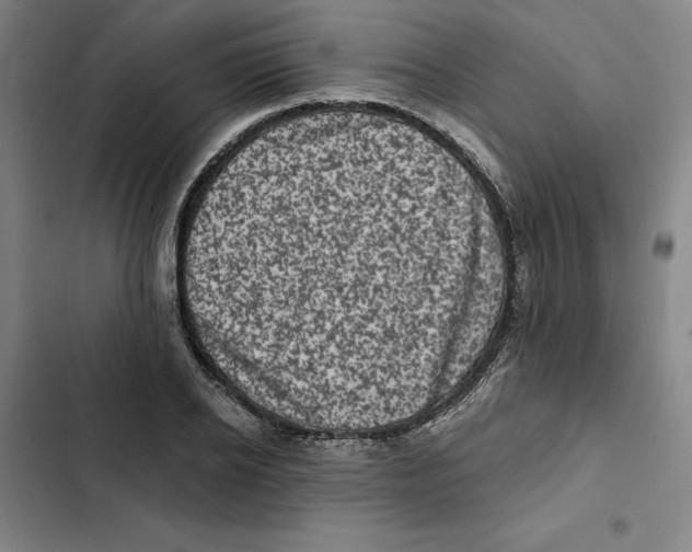 X0000102350934200808291157