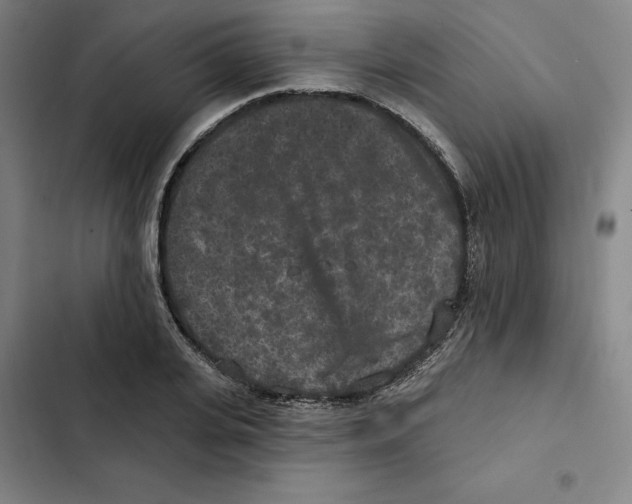 X0000102350935200808291157