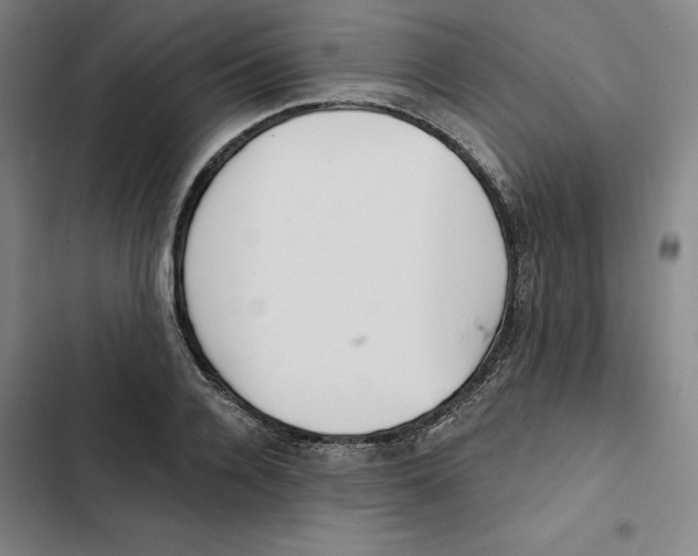 X0000102350936200808291157