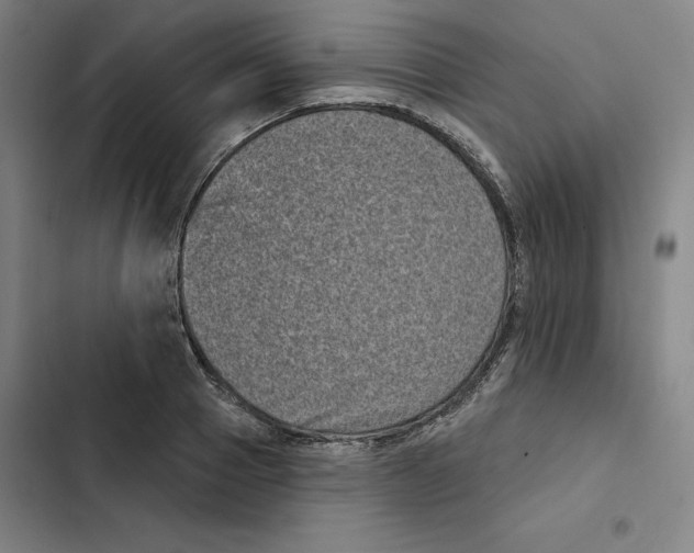 X0000102350937200808291157
