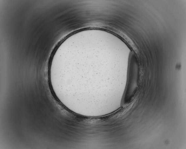 X0000102350939200808291157