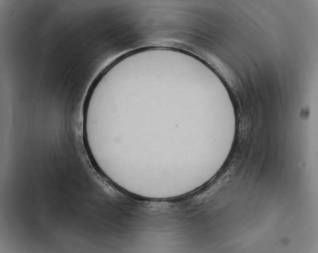 X0000102350940200808291157