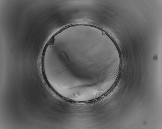 X0000102350941200808291157
