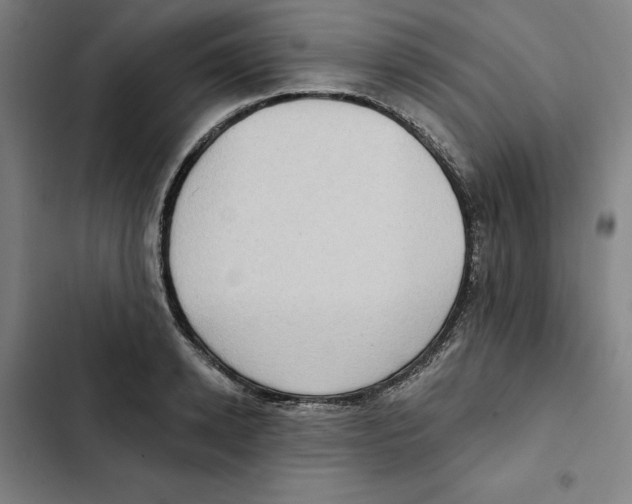 X0000102350942200808291157