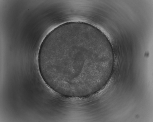 X0000102350943200808291158