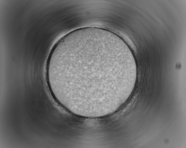 X0000102350944200808291158