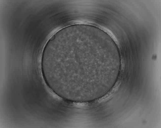 X0000102350946200808291158