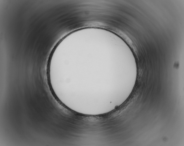 X0000102350947200808291158