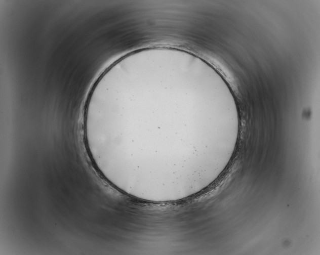 X0000102350948200808291158