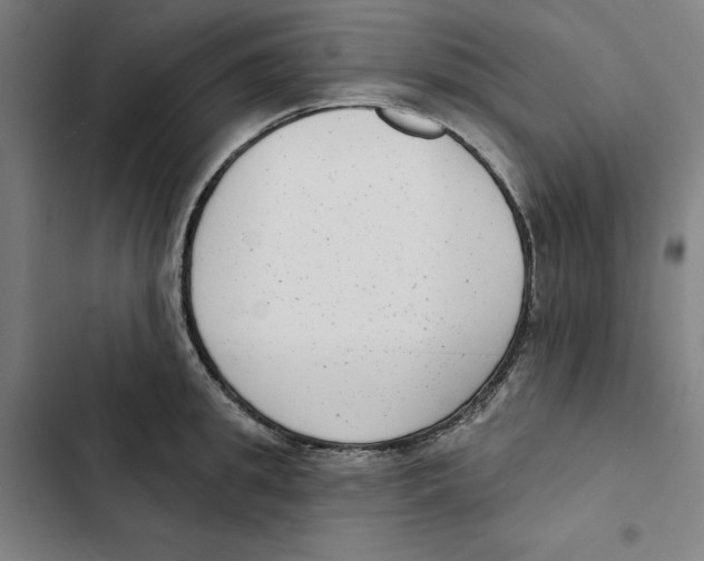 X0000102350949200808291158