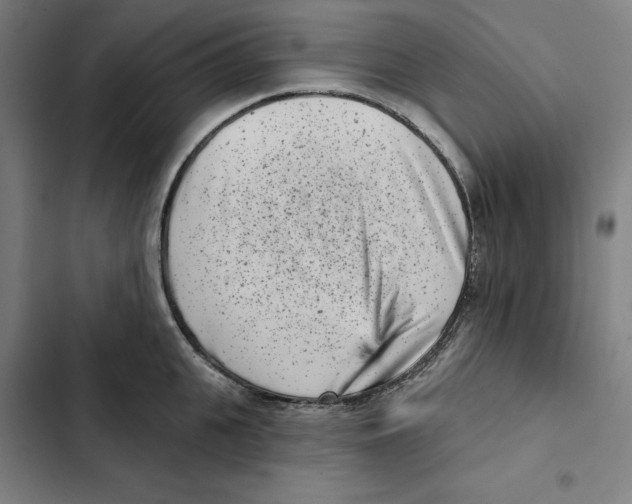 X0000102350951200808291158