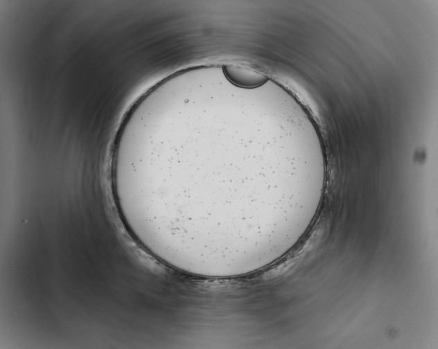 X0000102350952200808291158