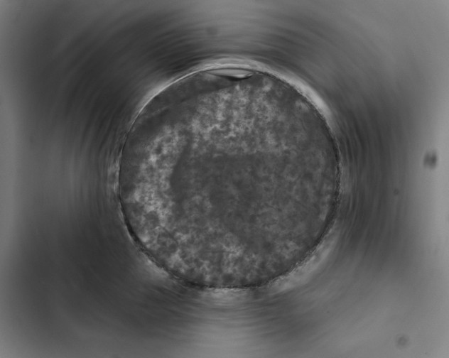 X0000102350953200808291158
