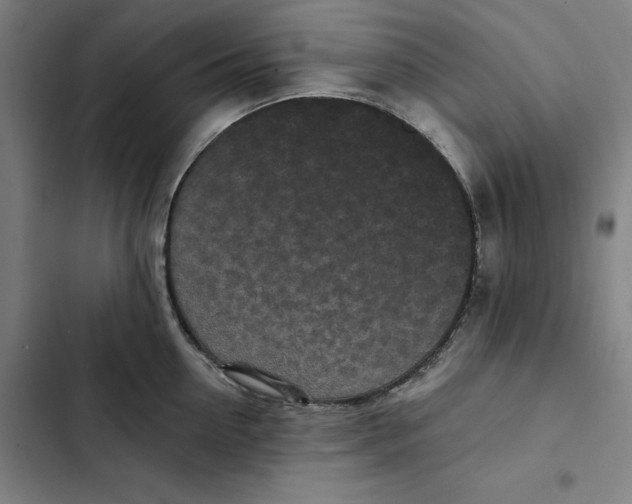 X0000102350954200808291158