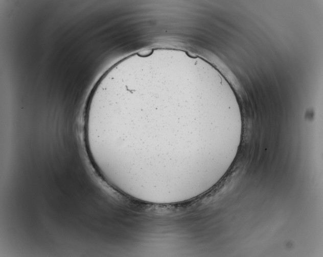 X0000102350955200808291158