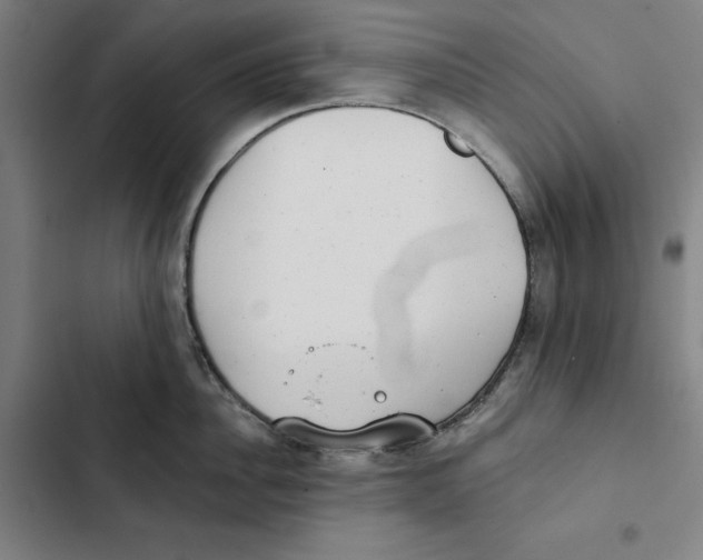 X0000102350956200808291158