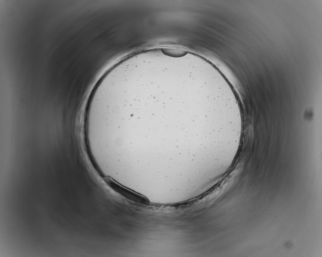 X0000102350957200808291158