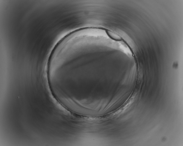 X0000102350958200808291158