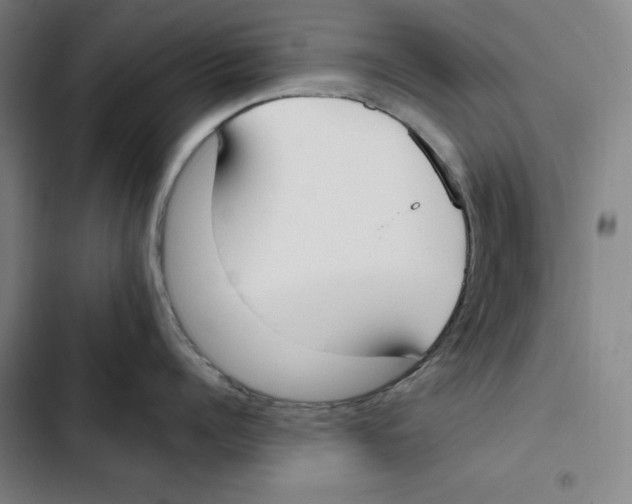 X0000102350960200808291158