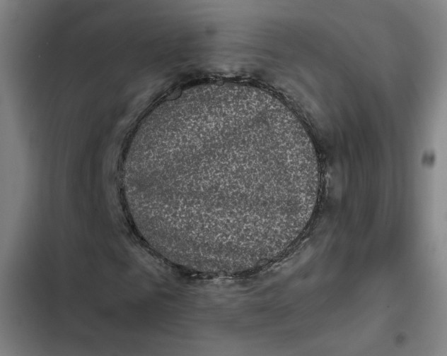 X0000102350961200808291157