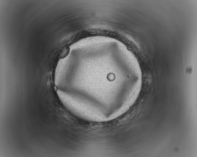 X0000102350965200808291157