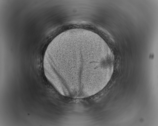 X0000102350966200808291157