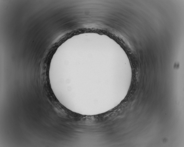 X0000102350968200808291157
