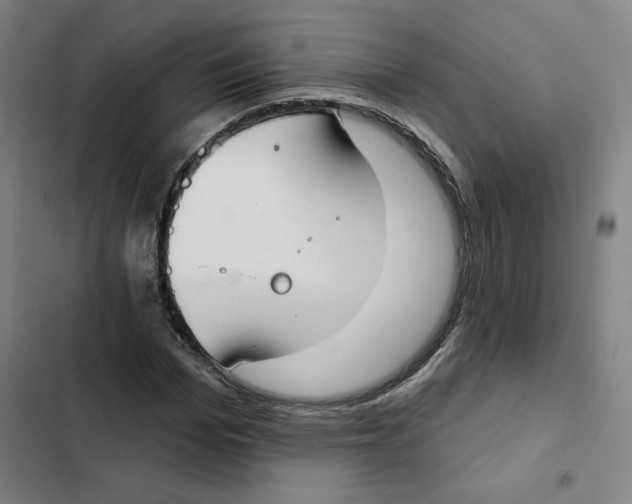 X0000102350969200808291157