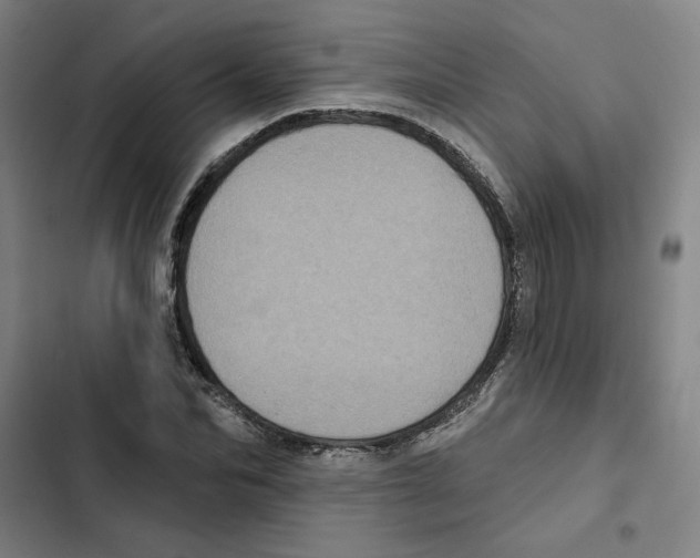 X0000102350974200808291157