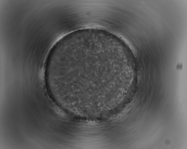 X0000102350975200808291157