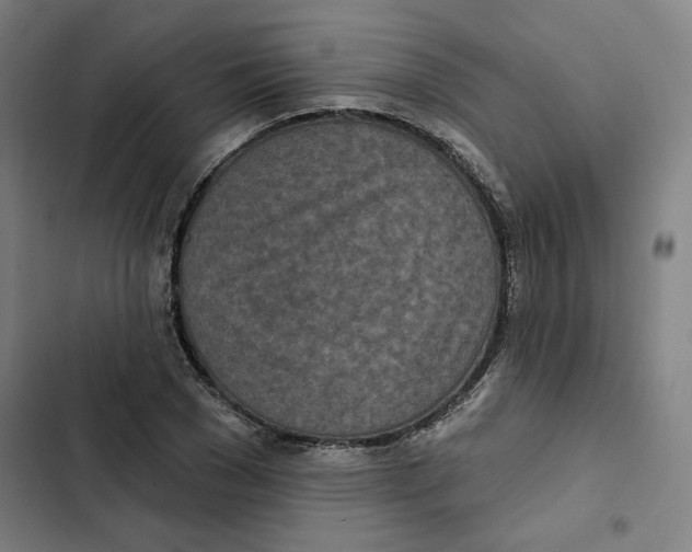 X0000102350977200808291157