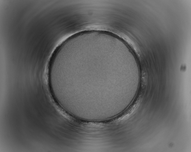 X0000102350981200808291157