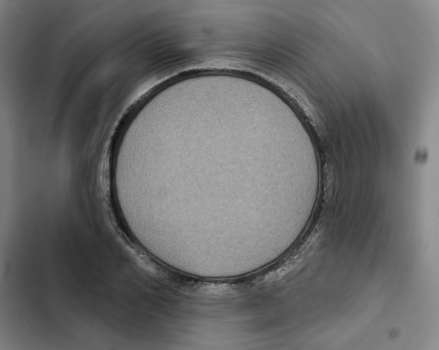 X0000102350982200808291157