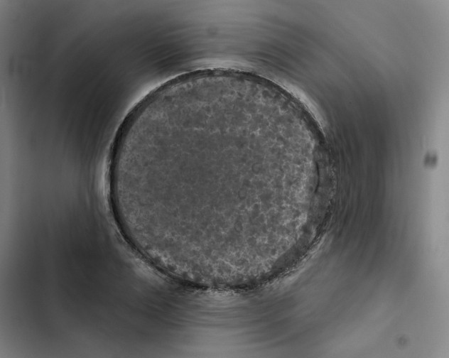X0000102350983200808291157