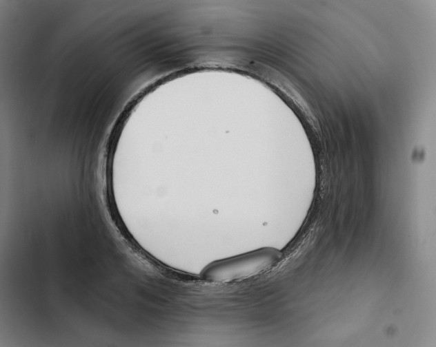 X0000102350984200808291157