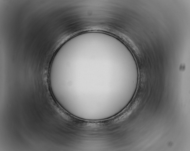 X0000102350985200808291157