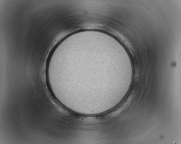 X0000102350986200808291157