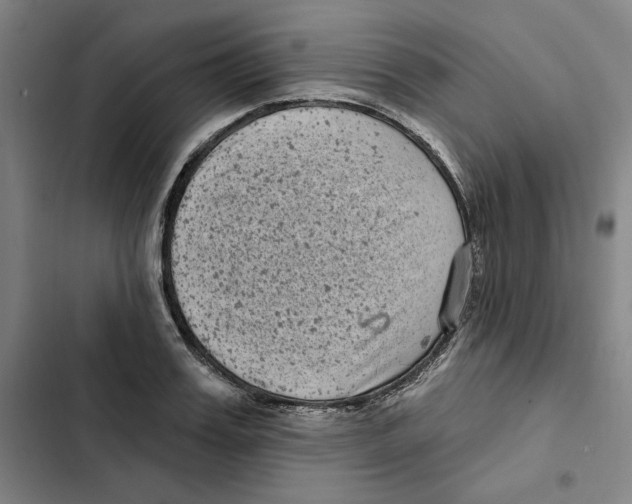 X0000102350987200808291157