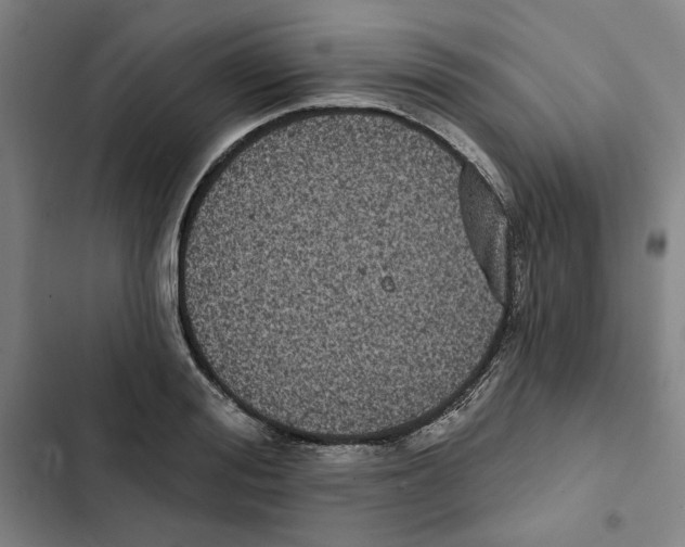 X0000102350988200808291157