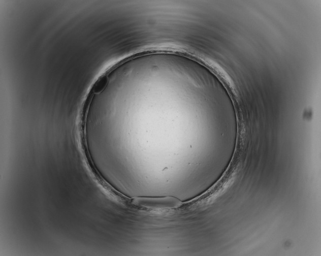 X0000102350989200808291157