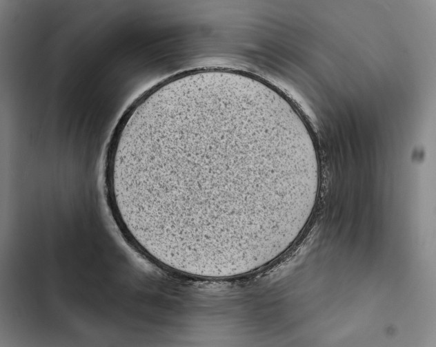 X0000102350991200808291156
