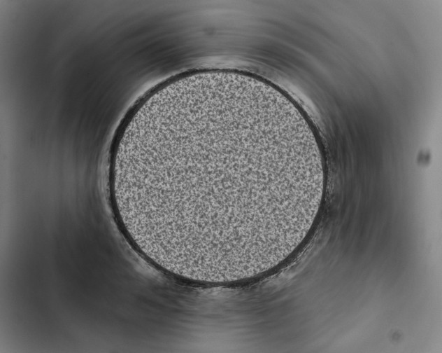 X0000102350992200808291156
