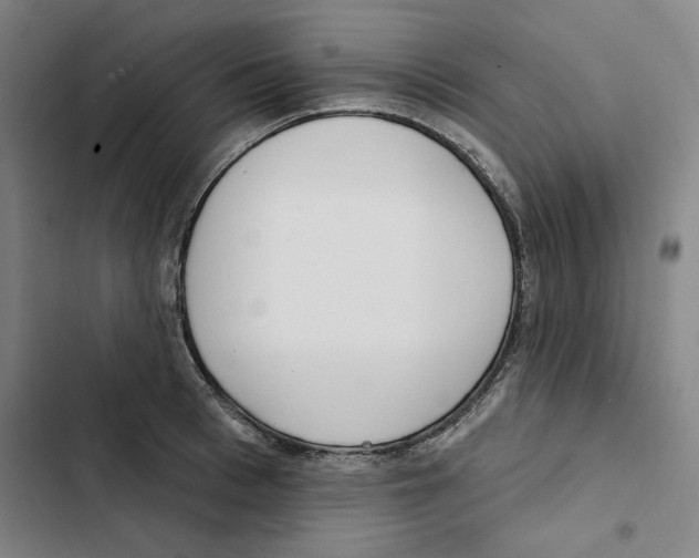 X0000102350993200808291156