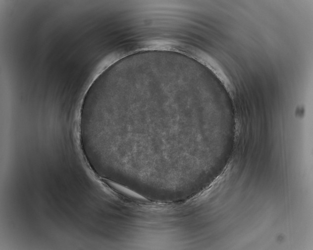 X0000102350994200808291156