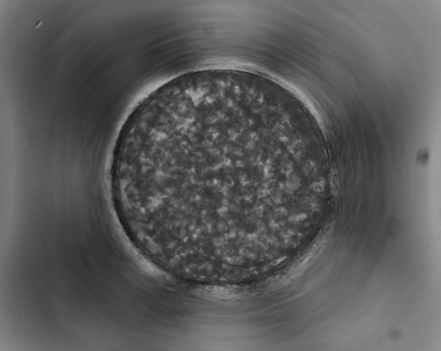 X0000102350995200808291156