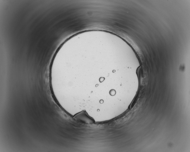 X0000102350996200808291156