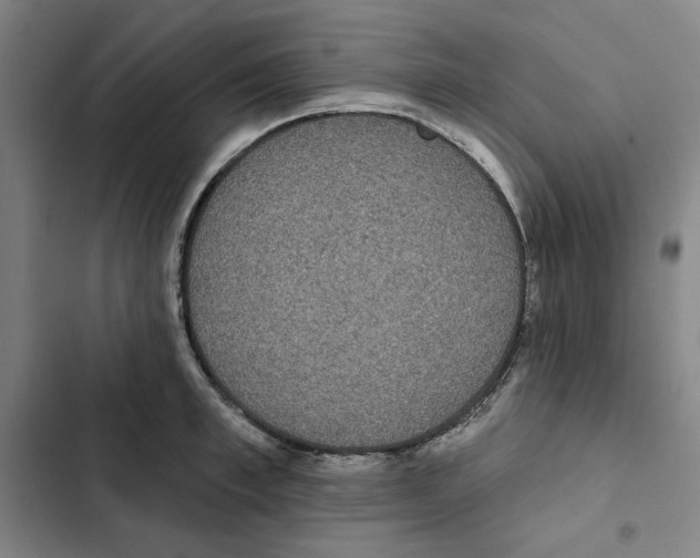 X0000102350997200808291156
