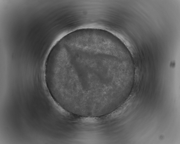 X0000102350998200808291156